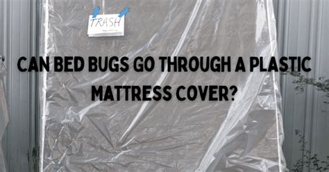 Can Bed Bugs Go Through A Plastic Mattress Cover